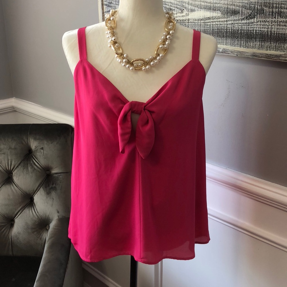 Adorable Summer Shirt NWT